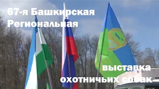 Основной ролик по  выставки охотничих собак проведенной в РБ 25 марта 2018