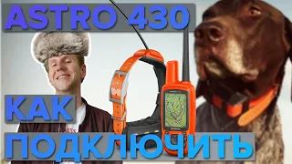 Garmin Astro 430 как подключить к ошейнику? Сопряжение с другими навигаторами Garmin. Инструкция