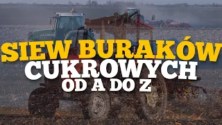 Siew buraków cukrowych 2022 od A do Z - Gospodarstwo Rolne Hrazdil