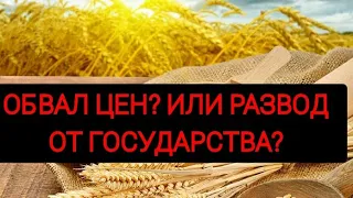 Цены на пшеницу и подсолнечник куда вы ???Нас как всегда кидают..