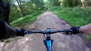 Epping forest MTB 3.6.2018