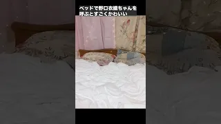 ベッドの上で野口衣織ちゃんを呼ぶとすごくかわいい#shorts