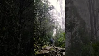 Tasmania. ⛰⛰ #Tasmania #mountains #australia #track