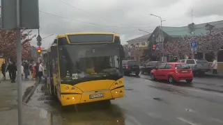 Сакури цвітуть, а погода плаче.  СТАРОКОСТЯНТИНІВ... #сакури