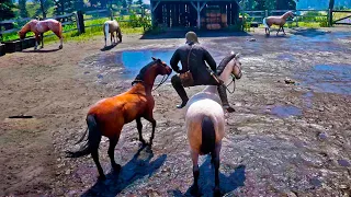 LO DESCUBREN ROBANDO CABALLOS | RED DEAD REDEMPTION 2