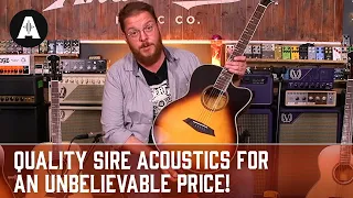 Unbelievable Acoustics for the Price! - Sire Larry Carlton A4 Guitars