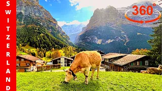 BEST 360° Virtual Tour in Autumn /GRINDELWALD /Switzerland /Relaxing LoFi Music