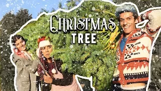 LOOKING FOR THE PERFECT CHRISTMAS TREE | LOS POLINESIOS VLOGS