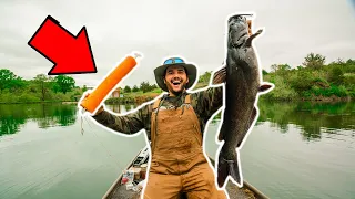 JUGLINE Catfishing in My BACKYARD POND!!! (Catch Clean Cook)