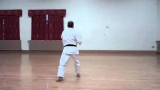 Wado Karate Kushanku performed by Neil Pottinger