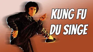 Wu Tang Collection - Kung Fu du Singe _Monkey Kung fu -ENGLISH Subtitled