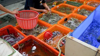 다양한 해산물 요리 만들기Australian Lobster, 3 Point Crab, Fish, Various Seafood Dishes Making   Taiwan Seafood