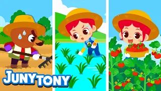 Farmer🌾 | Learn How Crops Are Grown and Harvested! | Job Songs for Kids | Preschool Songs | JunyTony