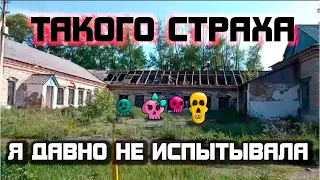 РАДИО МОРОК 💀👹☠️ - Обзор