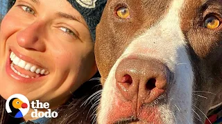 Pittie Kicked Out Of Dog Park Does The Most Amazing Thing | The Dodo Pittie Nation