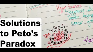 Why don't bigger animal gets Cancer? - Solution to Peto's Paradox