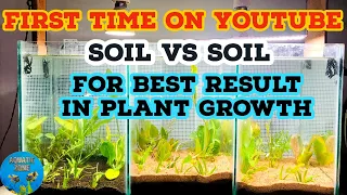 Planted Aquarium In River Sand | Low Tech Planted Tank In Garden Soil | Planted Tank Soil Comparison