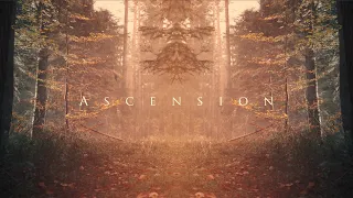 Void Affinity - Ascension - Official Music Video Visualizer