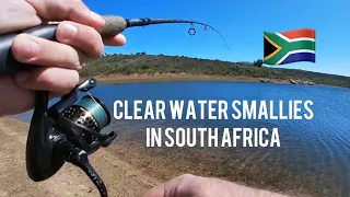 Smallmouth Bass Morning Mission | Cape Town, South Africa