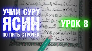 Урок 8 - Учим "ЯСИН" (по пять строчек) / 36-я сура Корана