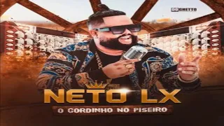 10 - Vai Me Usando - Neto Lx O Gordinho No Piseiro (Musica Nova) 2020