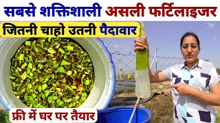 NPK fertilizer और DAP से कई गुना ताकतवर बायो एंजाइम +खाद | Aloe Vera bio enzyme | jaggery uses/kheti