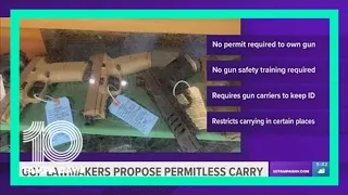 Florida lawmakers file bill to allow concealed gun carry without a license