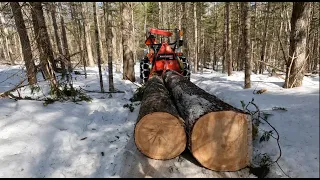 Compact Tractor With Log Grapple And Skidding Winch In Action