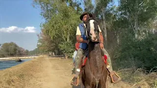 Horse ride 48 km with marwari horses by long riders