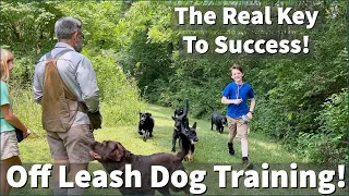 How To Keep Your Dog's Attention When Off Leash Training!