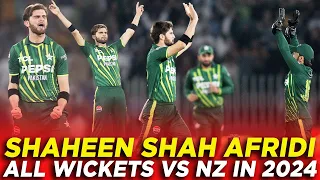 Rewinding Shaheen Shah Afridi's All 8 Wickets Against Kiwis in T20I Series 2024 | PCB | M2E2A