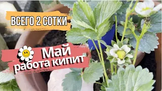 😊Всего 2 сотки. Май, работа кипит!