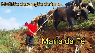 Mutirão de Aração de Terra em Maria da Fé MG