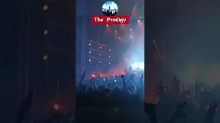 the Prodigy 19