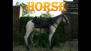 BF1 FREE HORSE