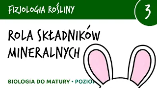 Rola składników mineralnych, sole mineralne - znaczenie - Fizjologia roślin 3 - matura z biologii