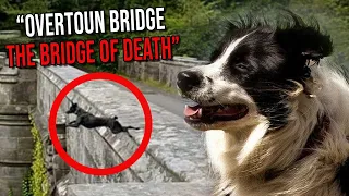 "The Bridge of Death" - Overtoun Bridge | Unexplained Mystery | Dumbarton, Scotland