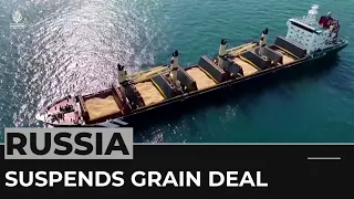 Russia halts participation in Ukraine grain agreement