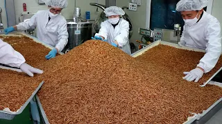 OMG! Crisp insect snack! Future food edible insect mealworm / Korean food factory