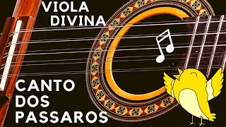 VIOLA DIVINA &  Canto Dos PÁSSAROS Com SONS DA NATUREZA