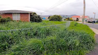 Overgrown JUNGLE gets Full Treatment | The Homeowner was so Thankful