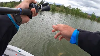 Catching BIG Bass in the River , Bass Fishing South Africa, Albert Falls.