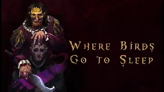 Where Birds Go to Sleep - Teaser Trailer (Short Version)