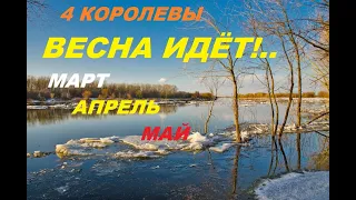 4 КОРОЛЕВЫ. ВЕСНА ИДЁТ!.. МАРТ АПРЕЛЬ МАЙ. Таро с Тесс.