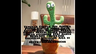 Temukan Cactus Toy Boneka Pintar Kaktus Joget Joged Goyang Bisa Ngomong Rekam https://shp.ee/esxecsr