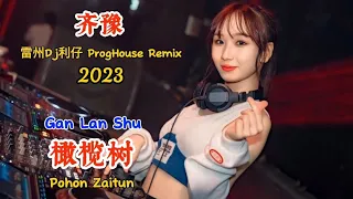 齐豫 - 橄榄树 - (雷州Dj利仔 ProgHouse Remix 2023) - Gan Lan Shu - Pohon Zaitun #dj抖音版2023