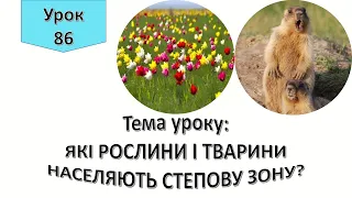 Урок 86. ЯКІ РОСЛИНИ І ЖИВОДИНИ НАСЕЛЯЮТЬ СТЕПОВУ ЗОНУ? Я досліджую світ 4 клас.