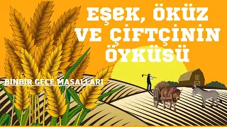 Eşek, Öküz ve Çiftçinin Öyküsü | Bibir Gece  Masalları