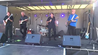 The tremeloes suddenly you love me Bexhill 60s Revolution 13-7-19