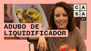 🍌 Aprenda a fazer ADUBO CASEIRO para alimentar suas plantas | Plante Você Mesmo | Carol Costa